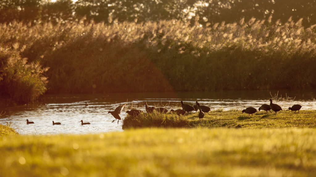 Un Parcours pour la Biodiversité ce printemps