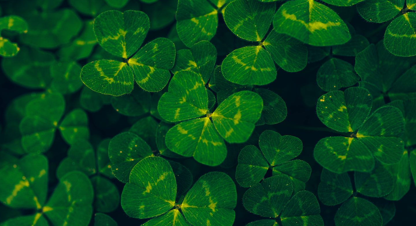 Coupe de la Saint-Patrick