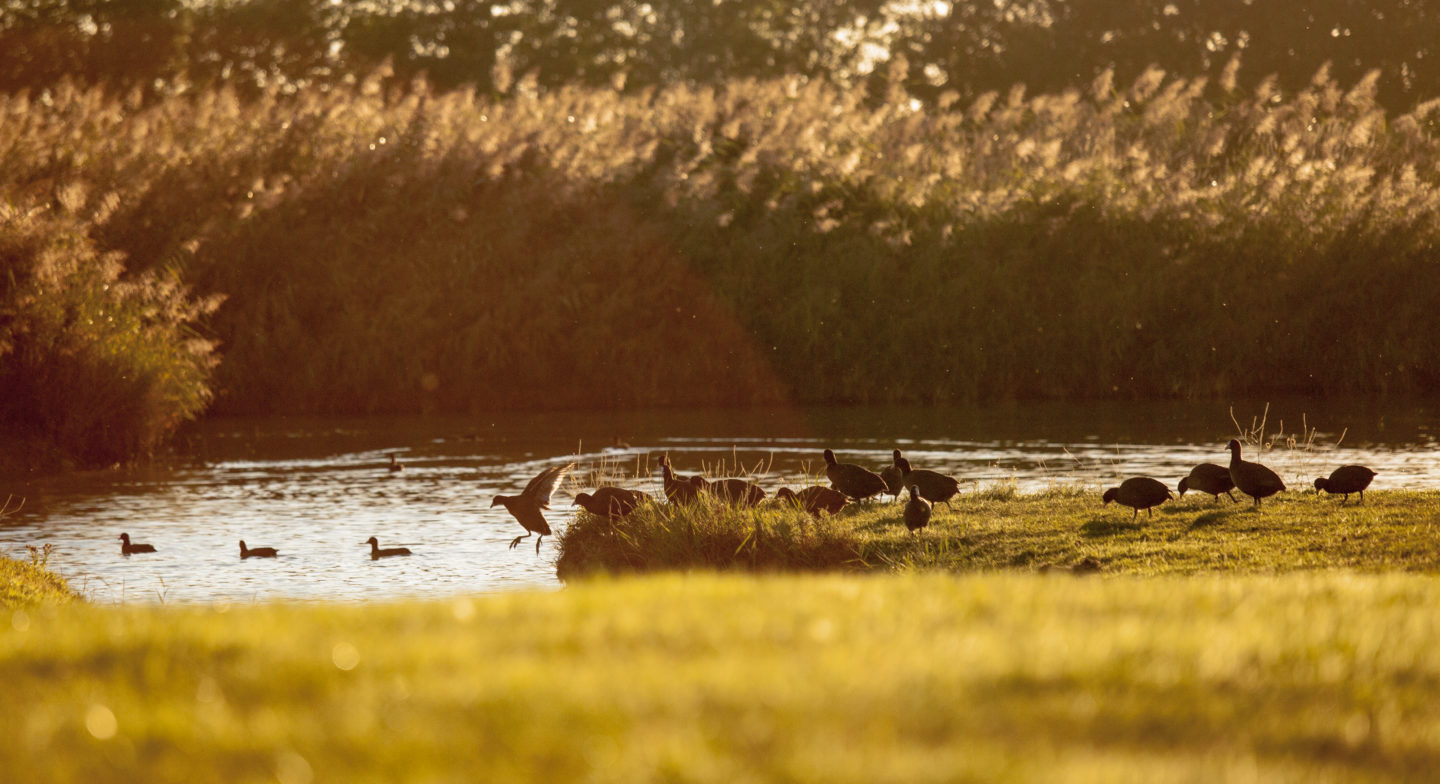 Un Parcours pour la Biodiversité